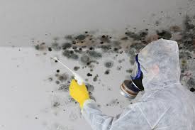 Mold Remediation for Vacation Homes in Morton, TX